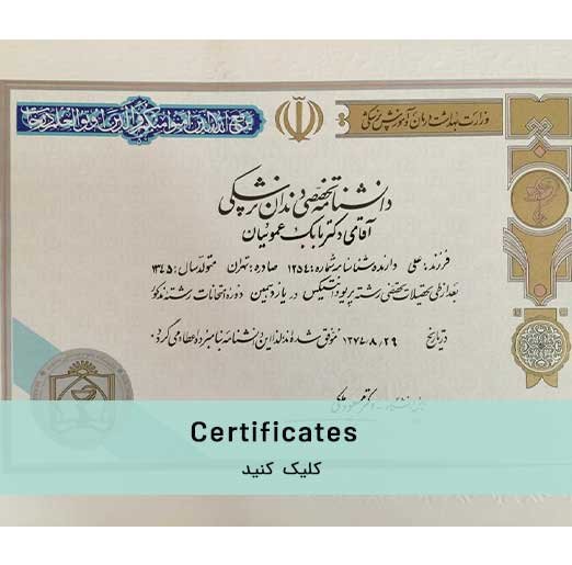 سرتیفیکیت ها 2